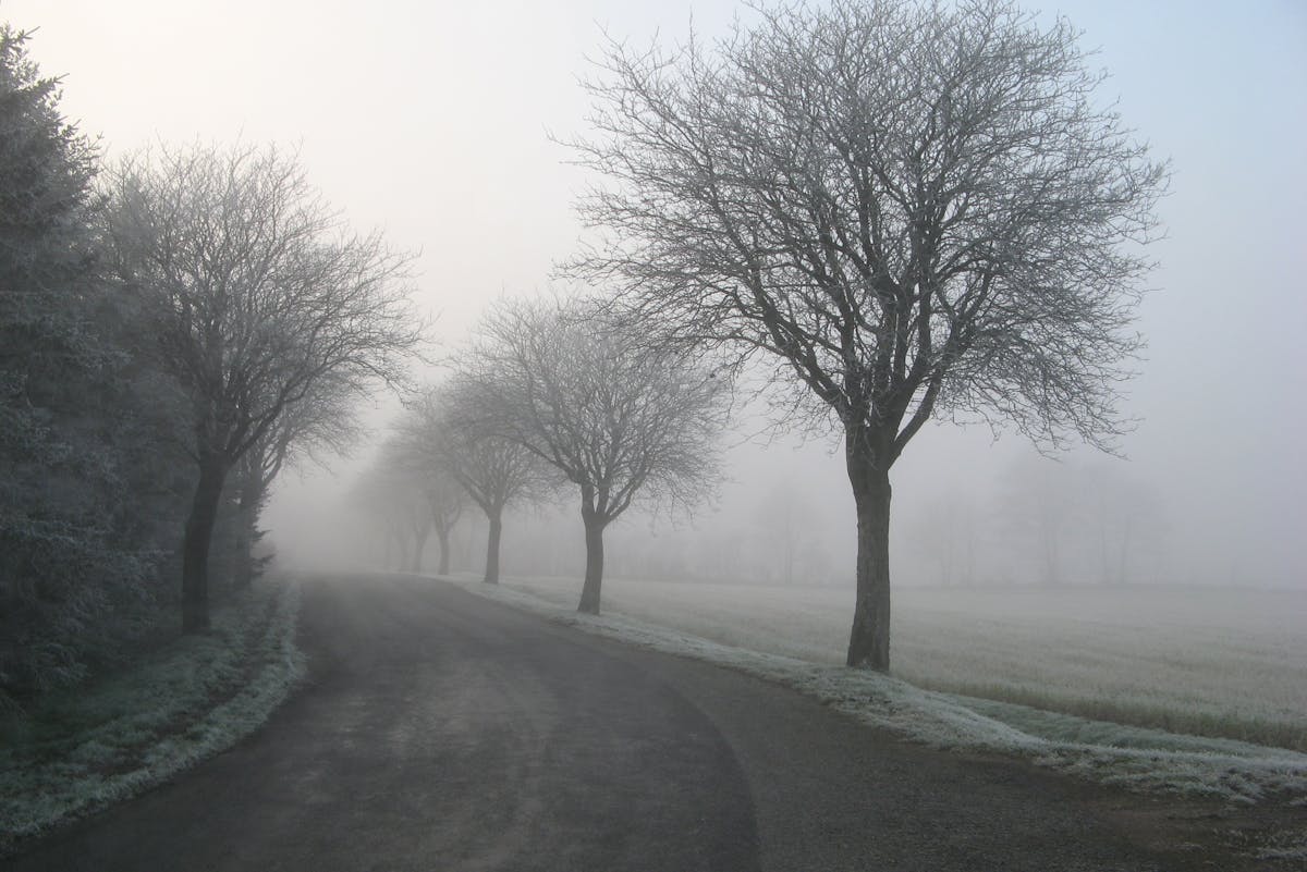 Оранжевый уровень: о погоде на Гродненщине 20-22 декабря