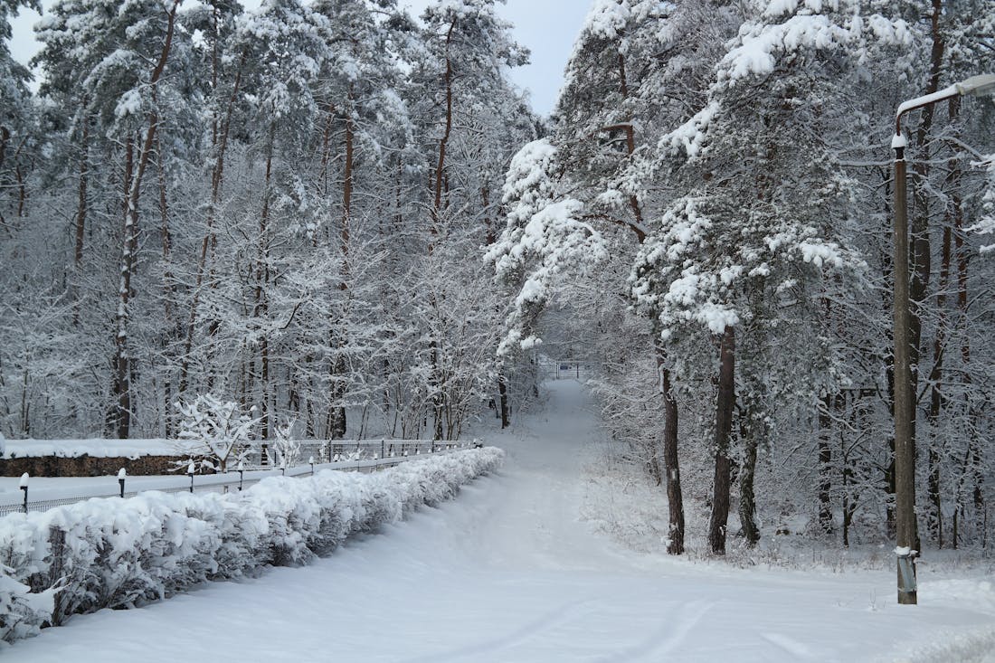 Оранжевый уровень опасности: на Гродненщине ухудшится погода