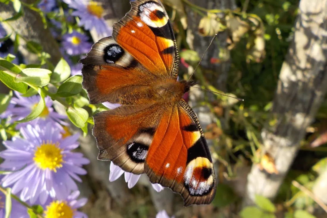 Осень пришла, но лето еще вернулось: на Гродненщине ожидается жара до 30 градусов