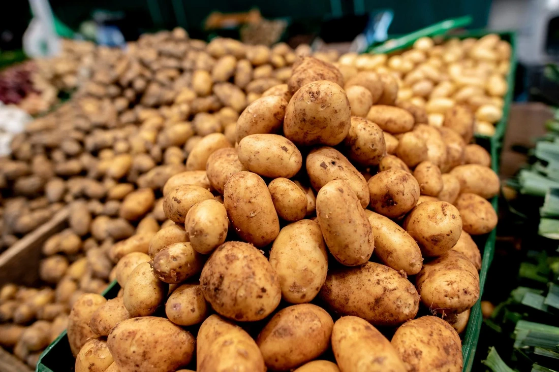 От картошки до яблок: утверждены точные объемы поставок овощей в магазины на зиму