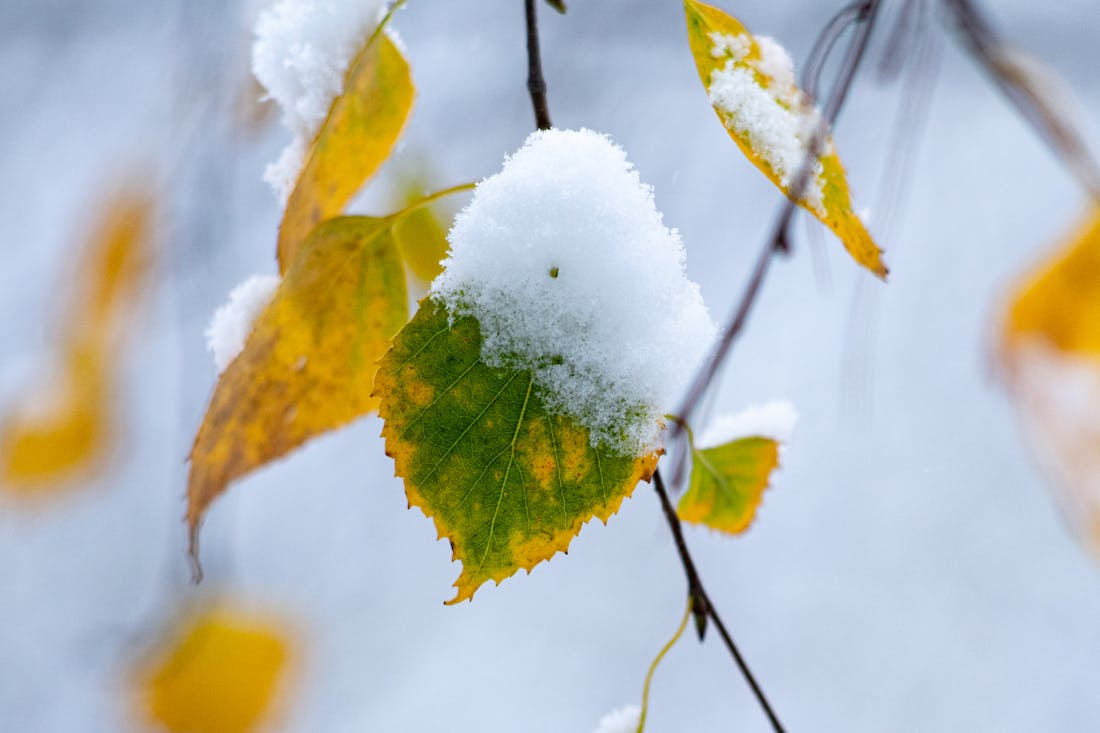 По одной важной примете 14 октября можно судить, какой будет зима