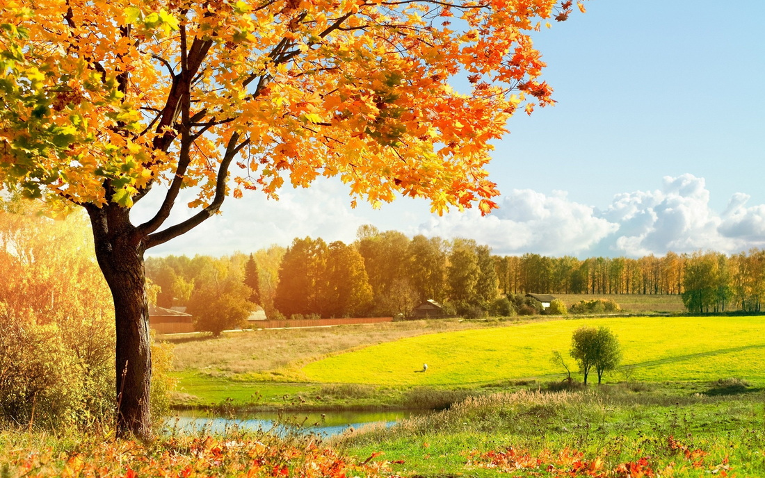 Почему 12 октября называли Милостивым днём — чего нельзя делать сегодня