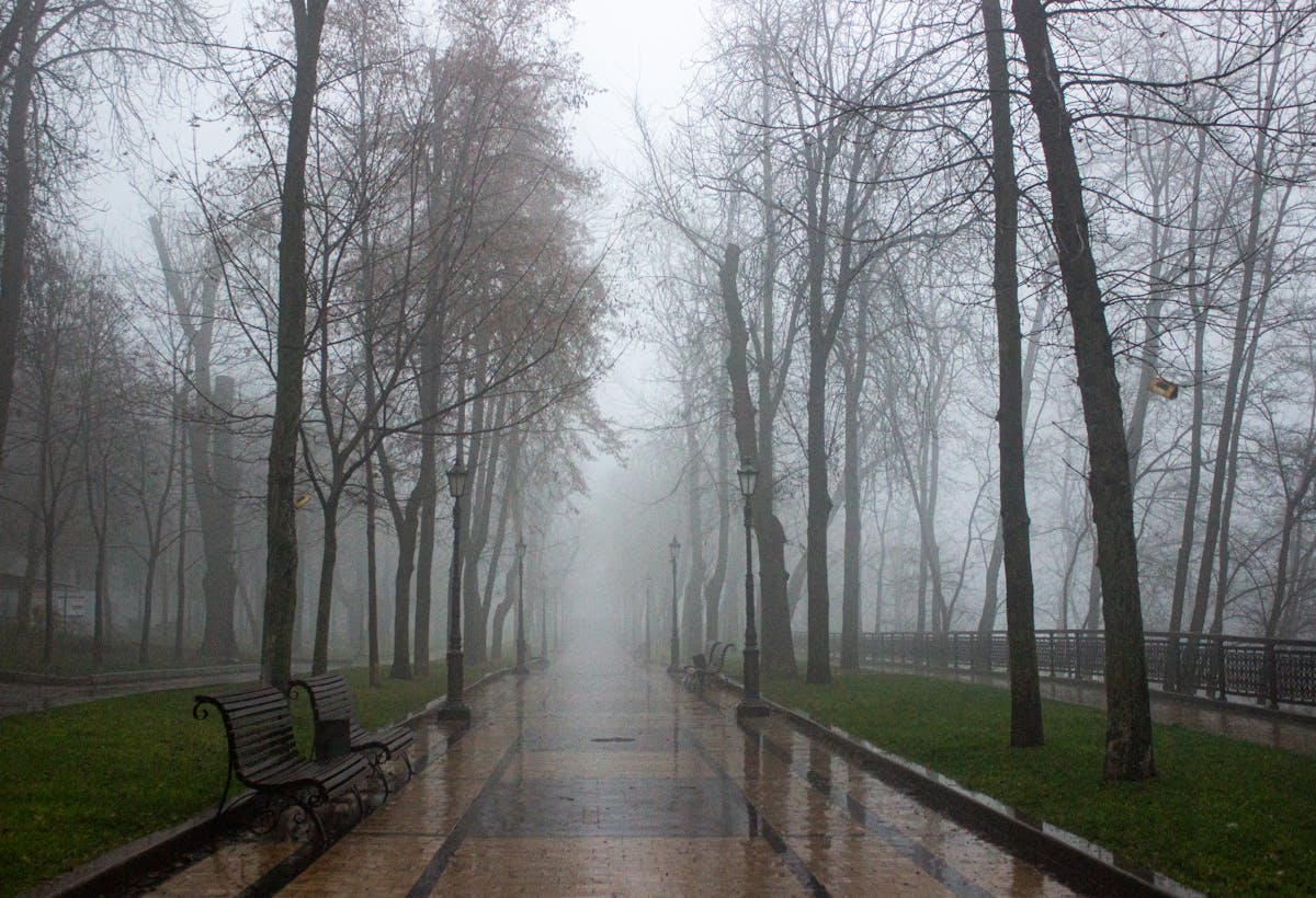 Почти весна: о погоде на Гродненщине 9-11 декабря