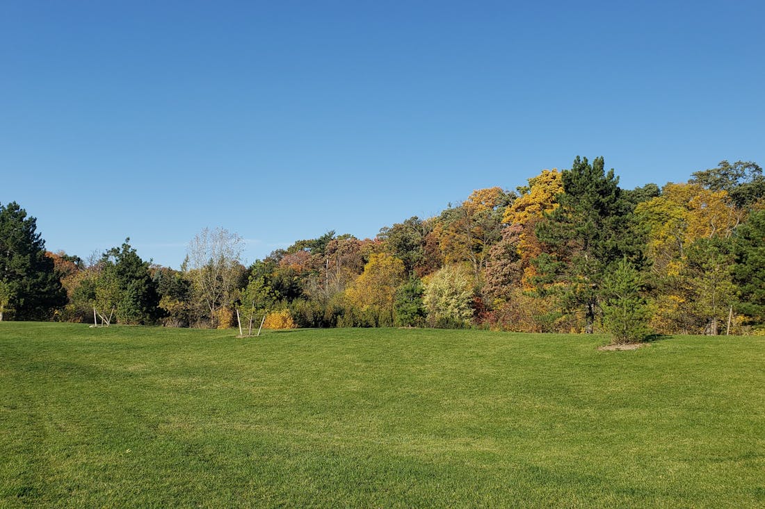 Погода обещает тепло и солнце: прогноз по Гродненщине на 7-9 сентября
