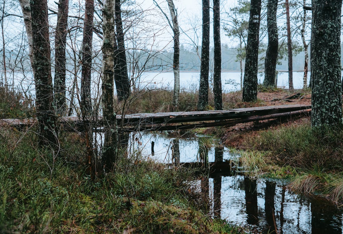 Похолодает. О погоде на Гродненщине в выходные