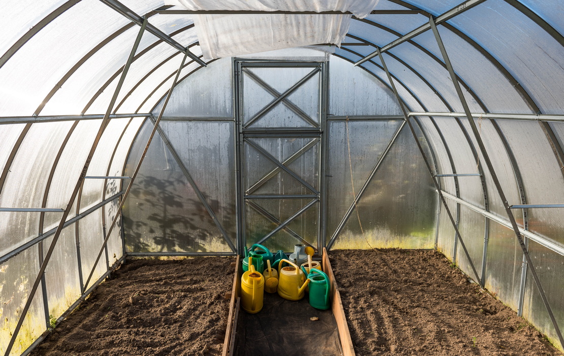 Поливаю тепличный грунт старым дедовским коктейлем: за зиму забудете о фитофторе. Делать нужно в ноябре