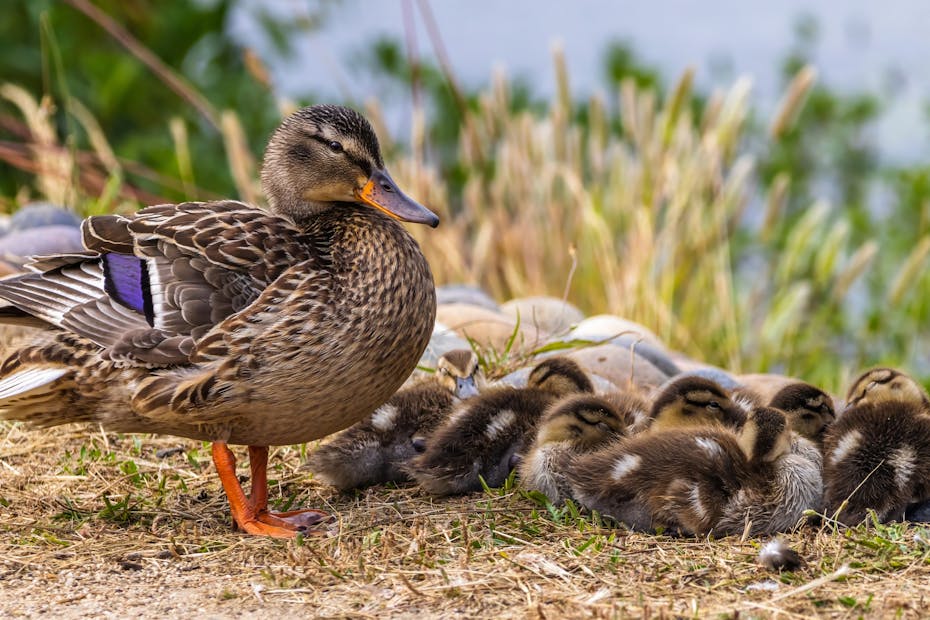 Потеплеет ли на Гродненщине в выходные, рассказали синоптики