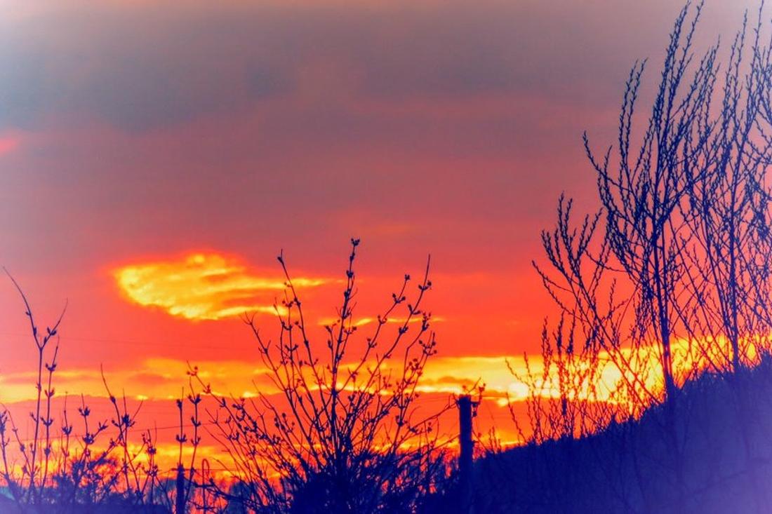 Природа шепчет о зиме: приметы 6 ноября не обманут