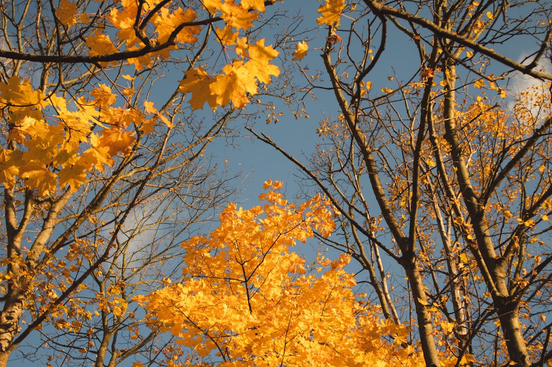 Прогноз погоды на 3-5 ноября по Гродненской области