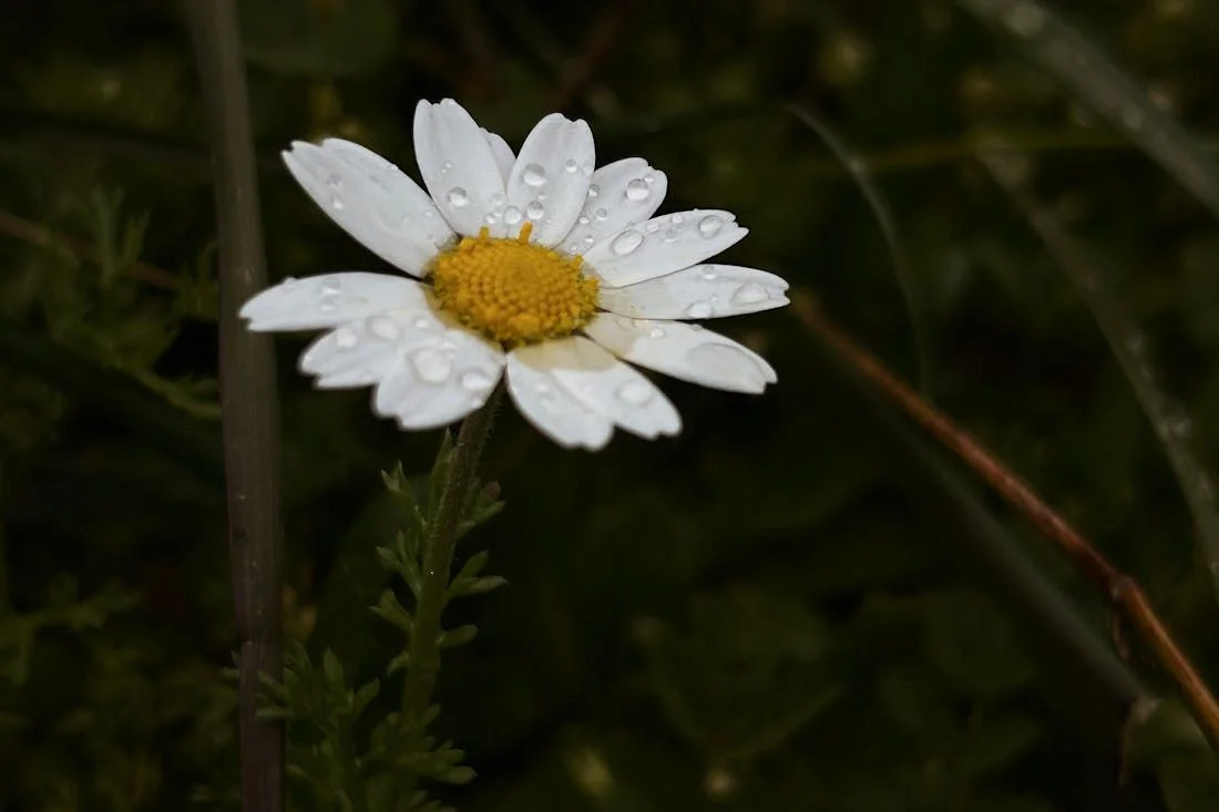 Прощай, тепло? О погоде на Гродненщине 10-12 июля