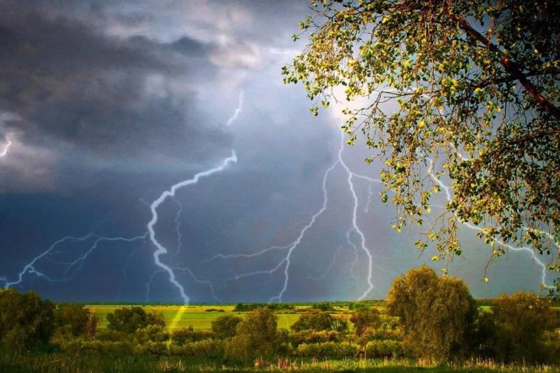 Прощай, жара: в Беларусь снова идут дожди и грозы