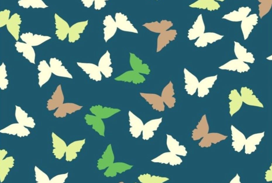 Проверьте свою зрительную память: найдите особенную бабочку за 7 секунд