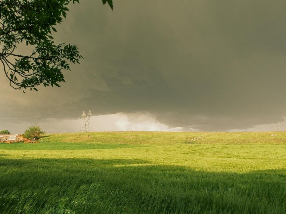 Резкое изменение погоды ожидается на Гродненщине. Что готовит природа 7-9 июня?