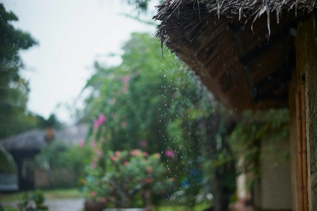Штормовые предупреждения и дождливые выходные. О погоде на Гродненщине 11-13 июля