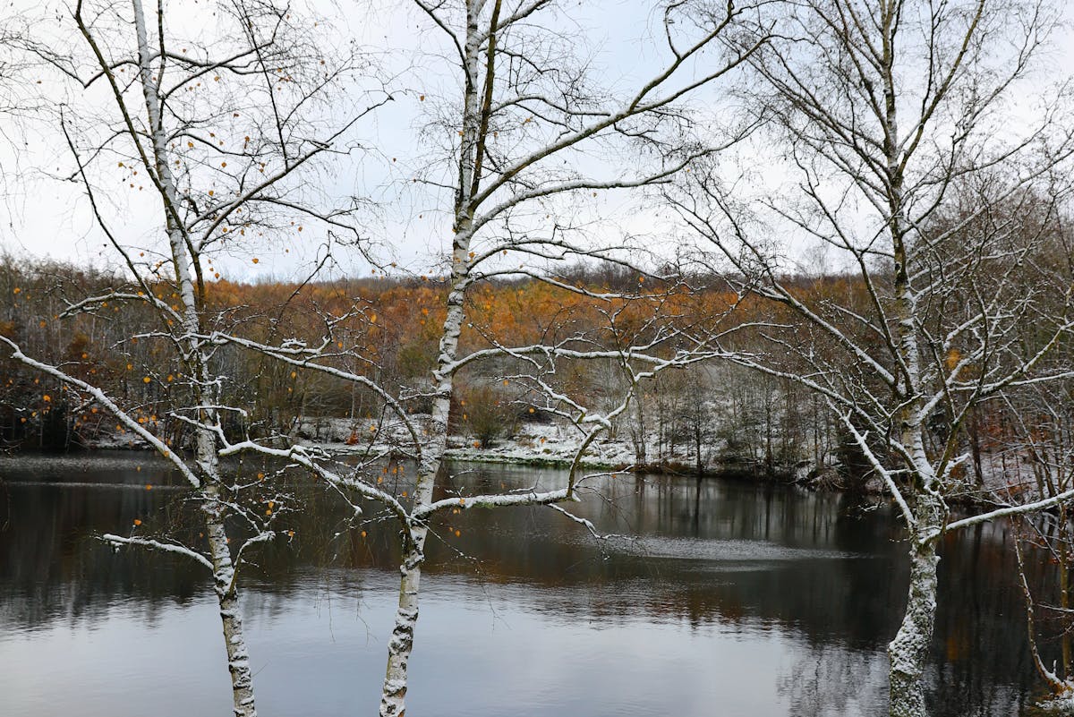 Синоптики предупредили о наступающем похолодании. О погоде на 11-13 декабря на Гродненщине
