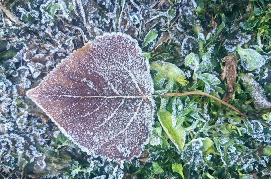 Синоптики предупредили жителей Гродненщины о заморозках в субботу
