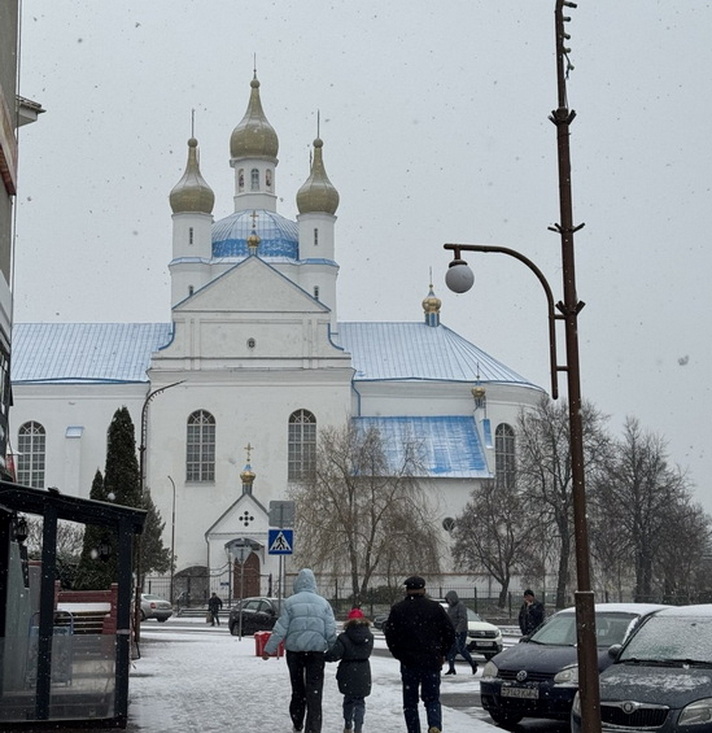 Слоним встретил первый снег