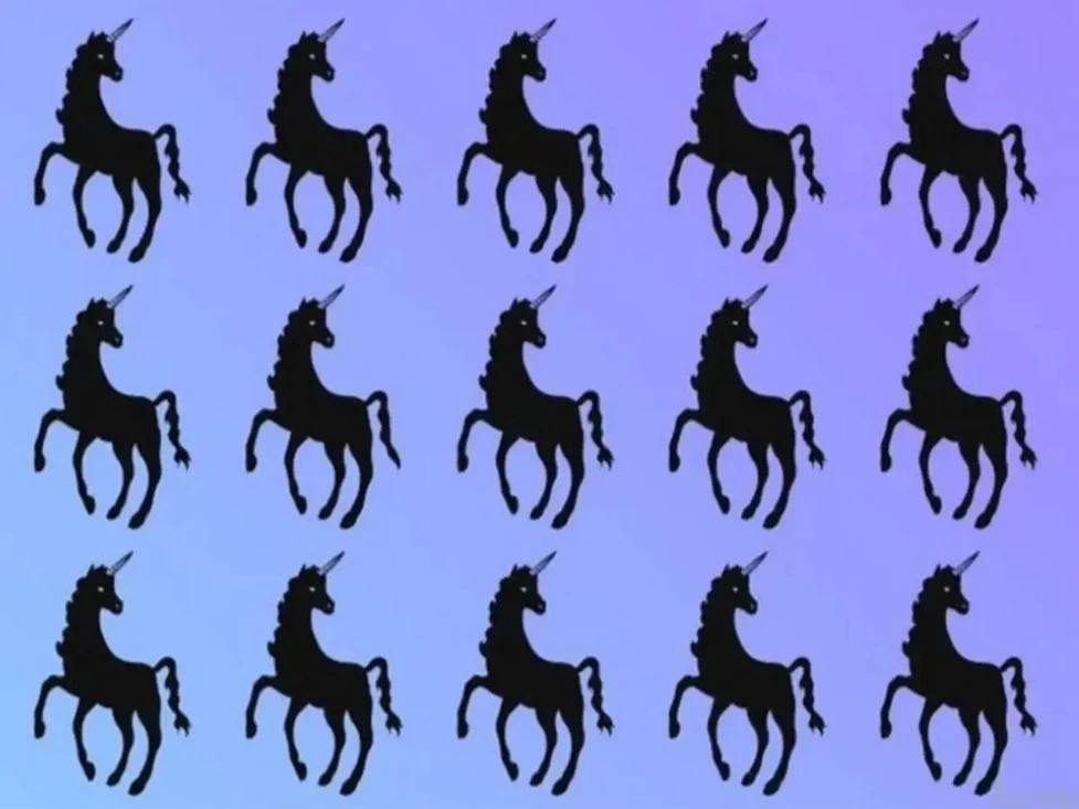 Сможете найти единорога с подвохом? Тогда у вас орлиный глаз!