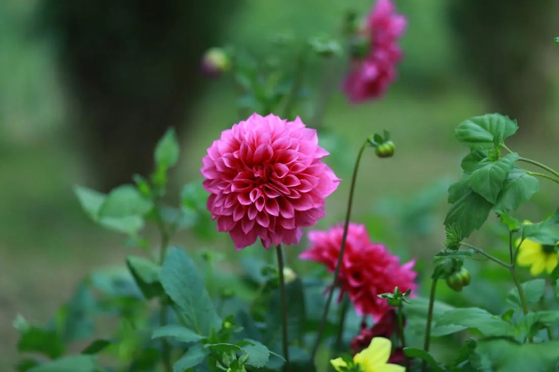 Теплая погода сохранится в Гродно и области до конца рабочей недели: о погоде на 3-5 сентября