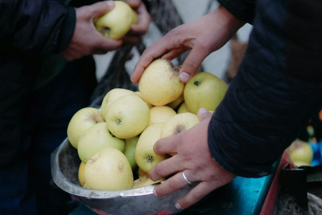 Торгуете овощами со своего участка? Узнайте об изменениях в налогообложении доходов от подсобного хозяйства