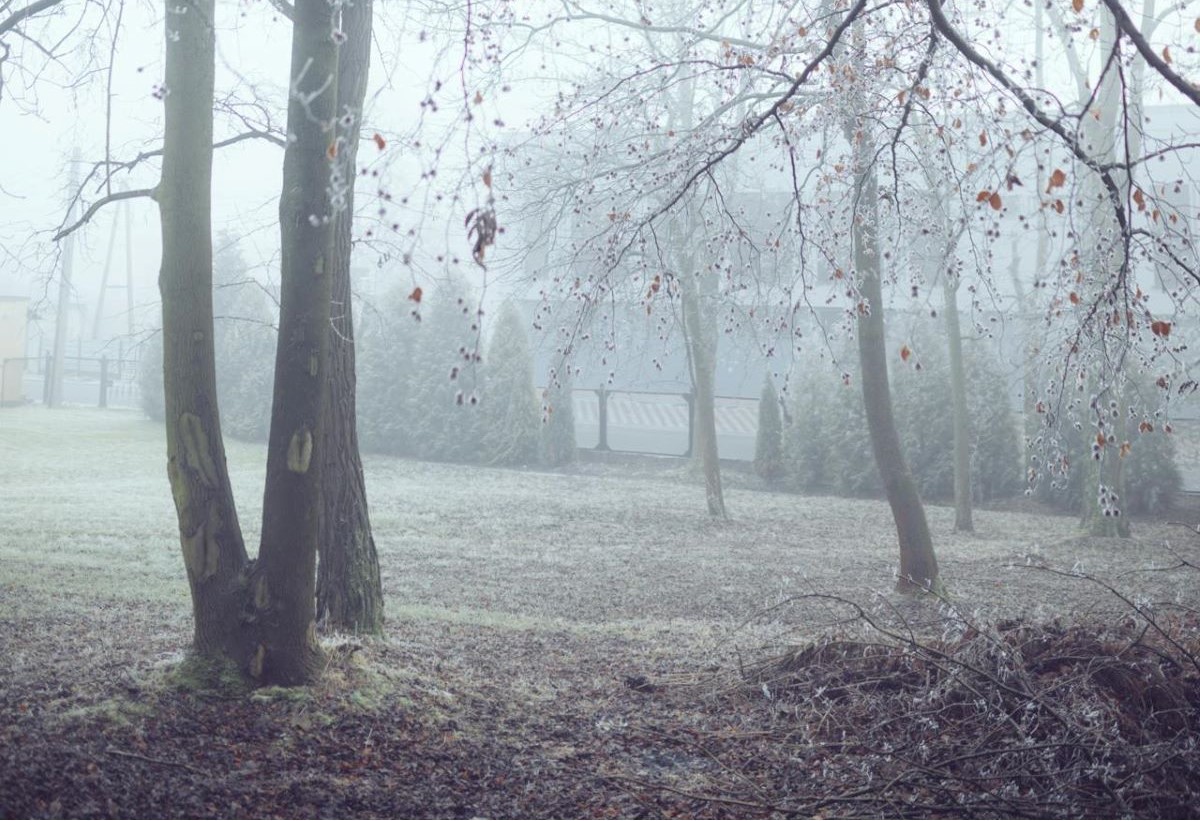 Туман и гололед: прогноз погоды по Гродненщине на 16-18 декабря