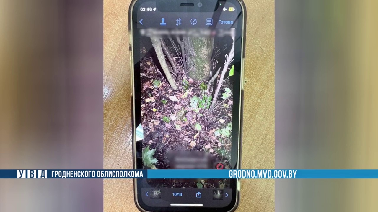 У 23-летнего жителя Гродно изъяли свыше 100 граммов психотропов