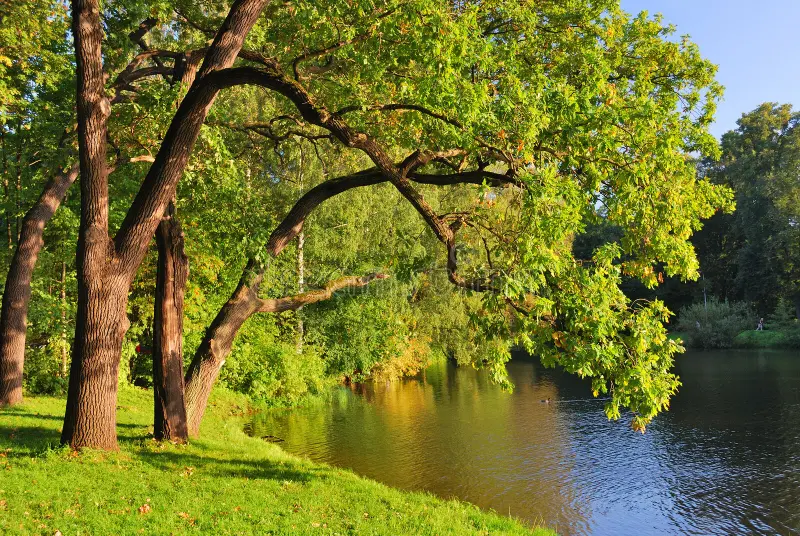 Усекновение главы Иоанна Предтечи: что можно и чего нельзя делать 11 сентября
