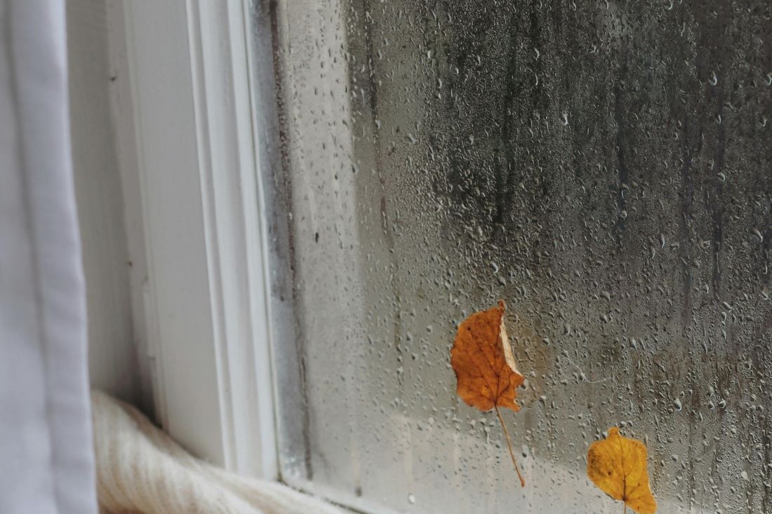 Устали от конденсата на окнах? Виновником проблемы может быть этот предмет на кухне