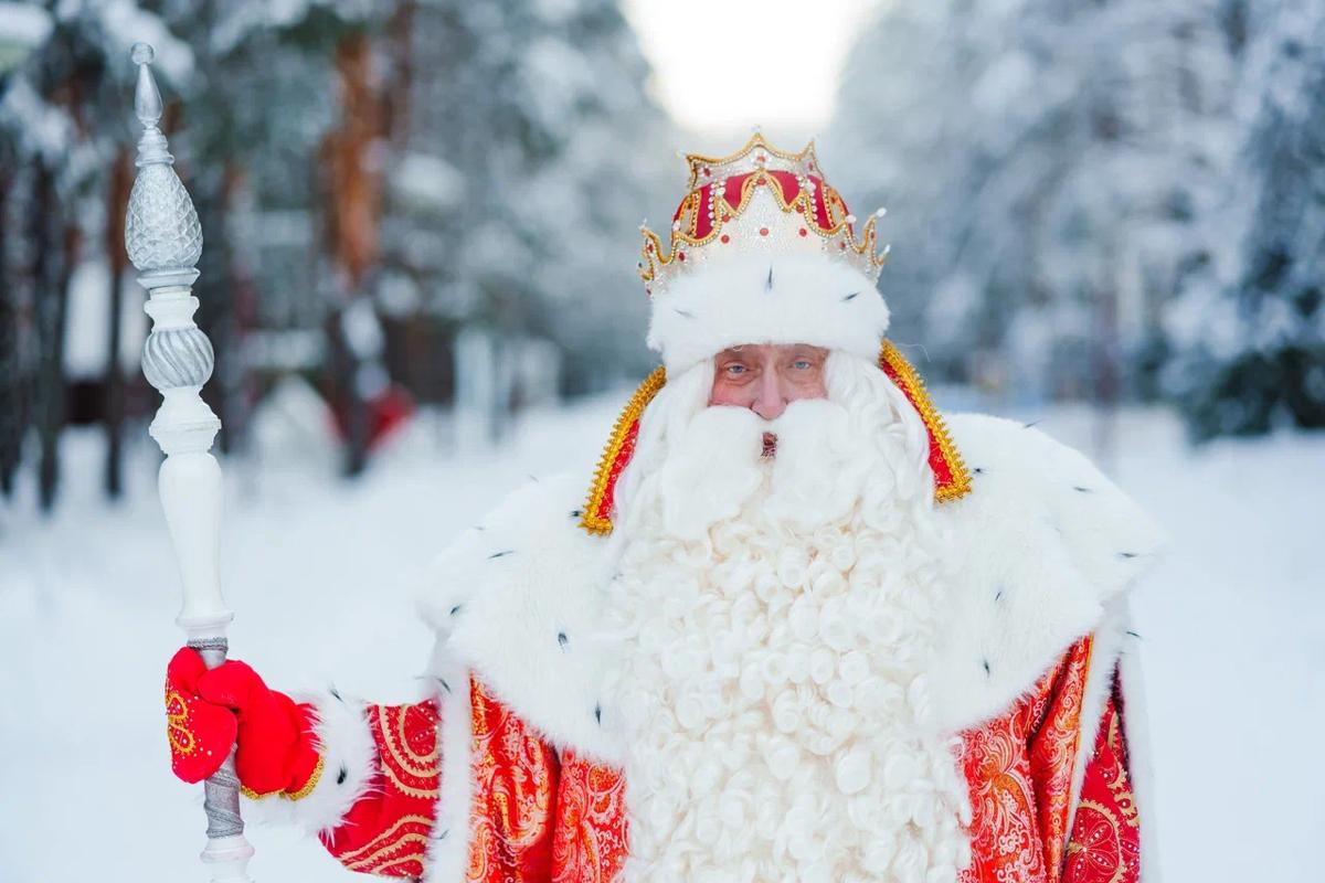 В Беловежскую пущу едет гость из Великого Устюга