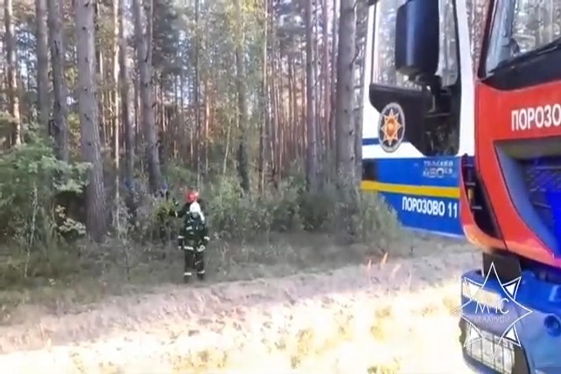 В Свислочском районе мужчина приехал с женой в лес за грибами и заблудился