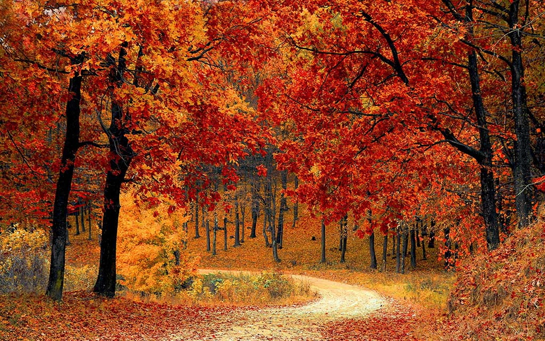 Вот какая будет зима, если 31 октября нет снега