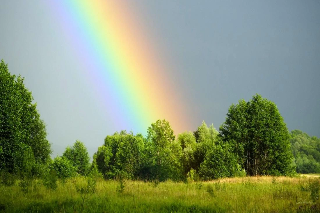 Задождит, но будет тепло. Прогноз погоды с 28 июля по 3 августа