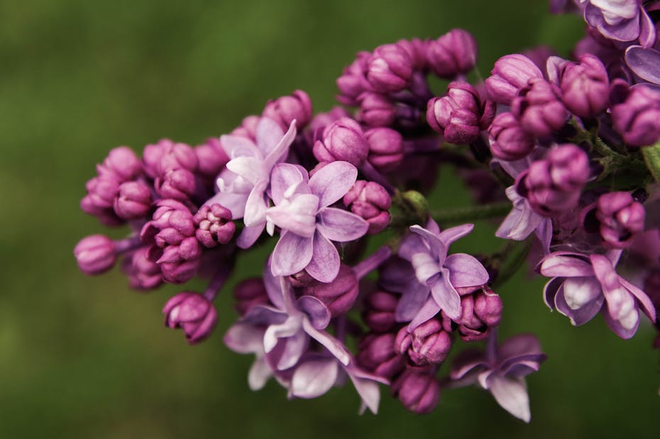 Заморозки остались в прошлом? О погоде на Гродненщине с 14 по 16 мая