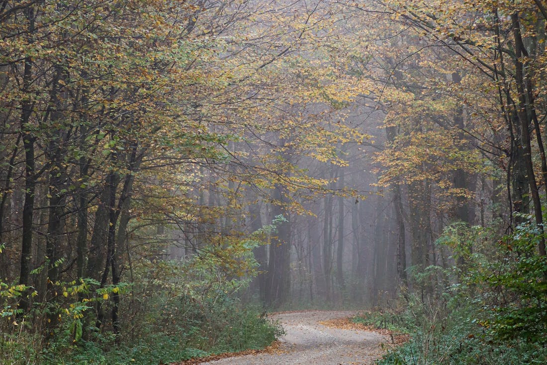 Заморозки возвращаются: о погоде на Гродненщине 2-4 октября