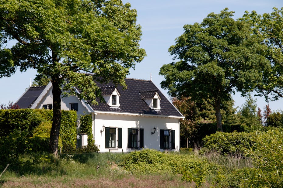 Жили впроголодь, но 20 лет упорно копили на дом с садом. Но принес ли он счастье семье?