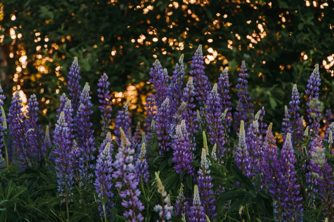 Жителей Гродненской области ждут дожди и ветер в последний июньский выходной