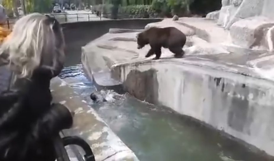 Пьяный посетитель зоопарка залез на медведя и попал на видео