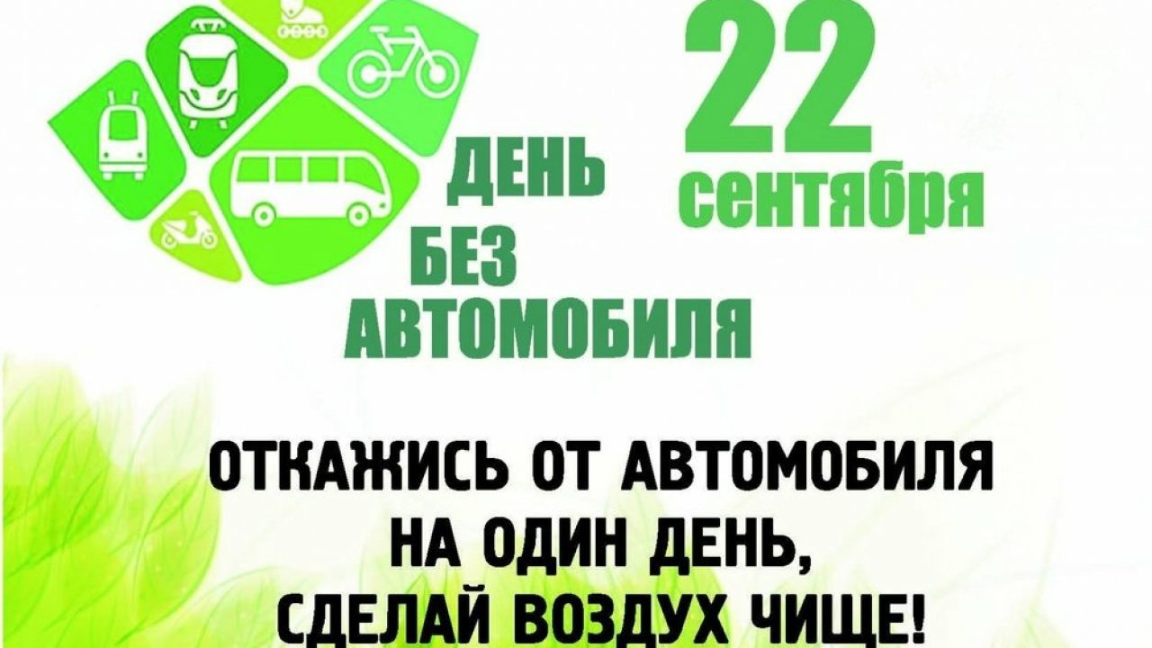 В Слониме и еще трех городах Гродненской области 22 сентября водители  смогут ездить бесплатно на общественном транспорте — Газета Слонімская