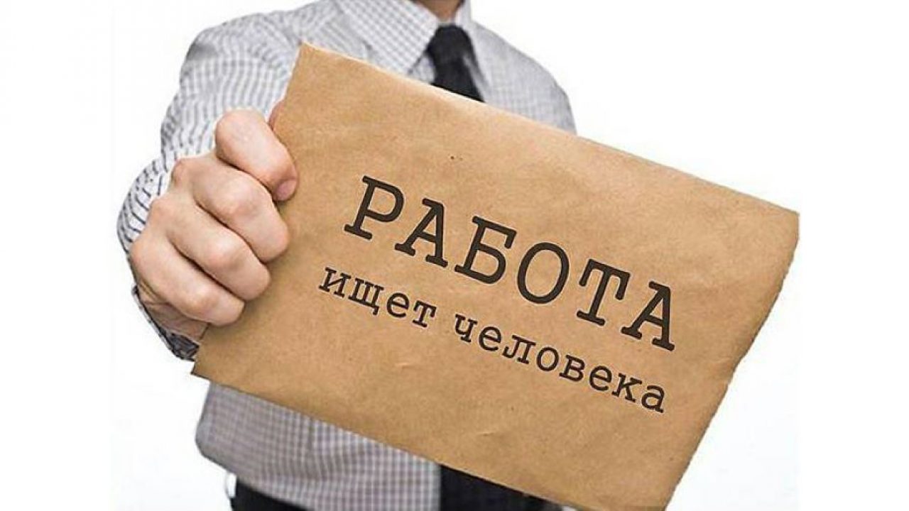 Новые вакансии в Слониме — от «Слоним-Агро», «БиоСапропель», «Деловой  жизни», ПМС и других — Газета Слонімская