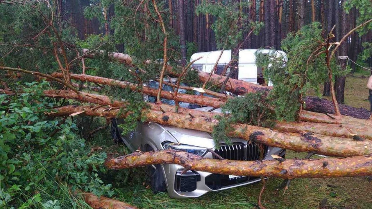 В Зельвенском районе на 41-летнюю женщину упало дерево, когда семья  отдыхала в лесу — Газета Слонімская